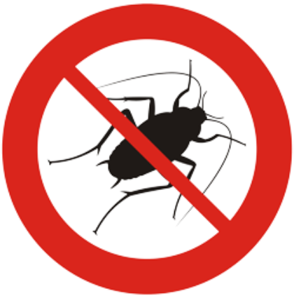 Disinfestazione blatte. 16 giugno 2025 Disinfestazione blatte. 16 giugno 2025