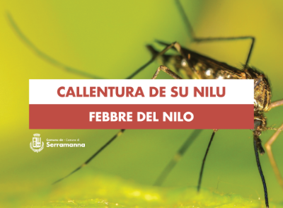 febbre-nilo-serramanna