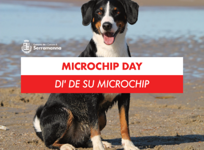 microchip-serramanna-comune-asl