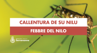 febbre-nilo-serramanna