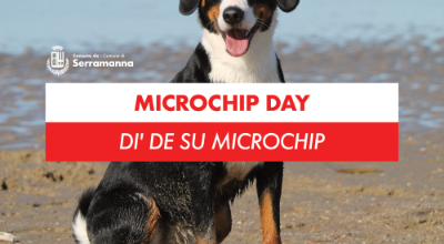 microchip-serramanna-comune-asl