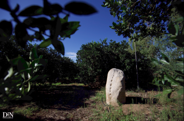 Perda Fitta, menhir Sa Sennoredda